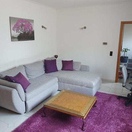 Rhein-Mosel-Lahn Ferienhaus Ferienwohnung Кобленц Екстериор снимка